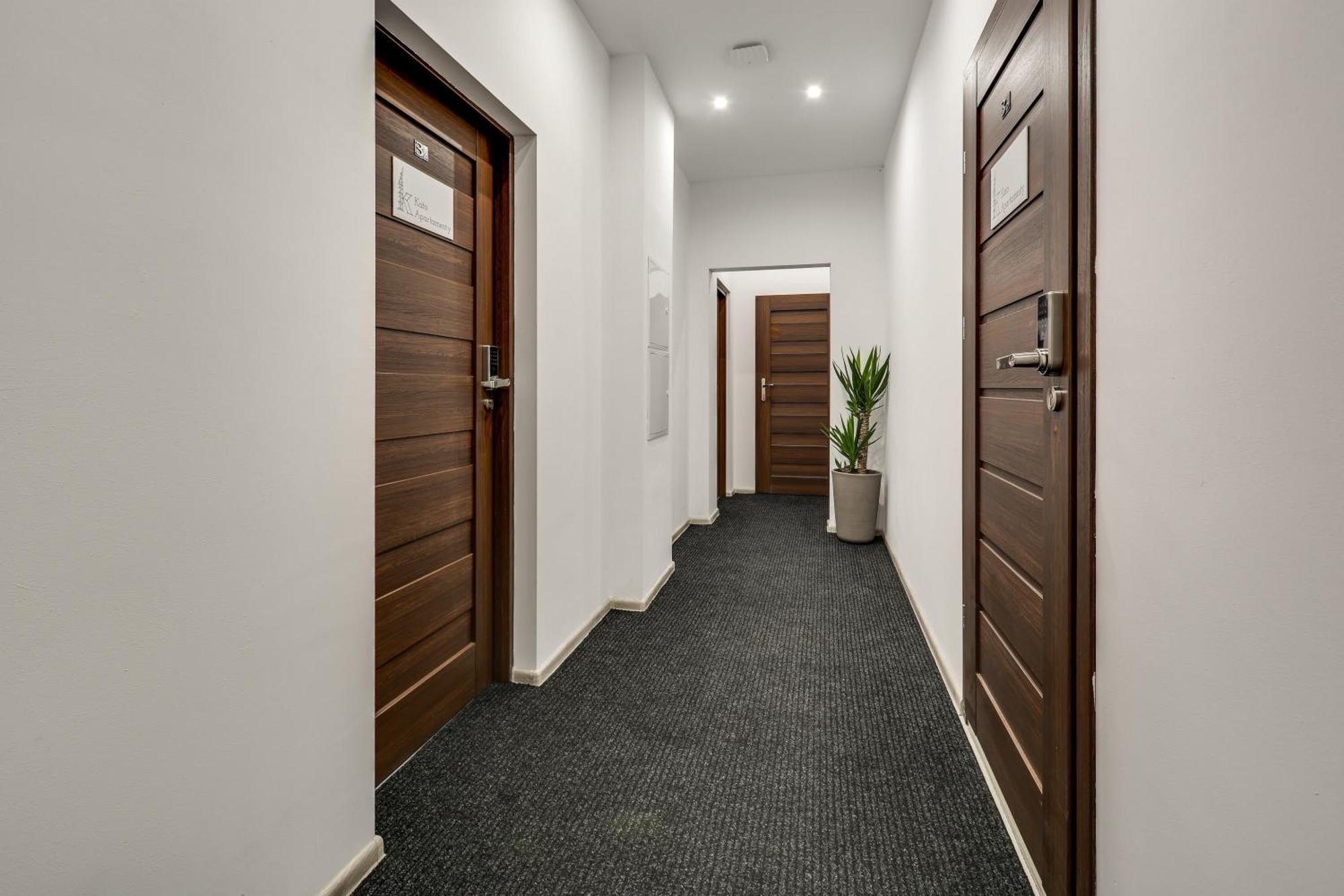 Kato Apartamenty Moniuszki 卡托维兹 外观 照片